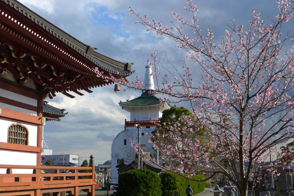 藻原寺境内