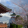 藻原寺境内