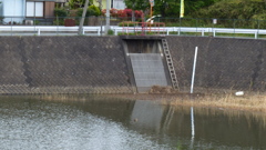 恨みの水門