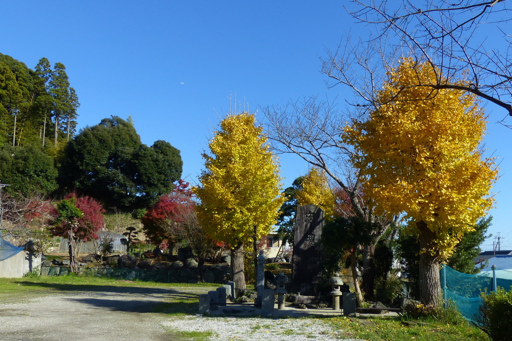 鎮魂碑のある公園