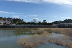 コロニー全景