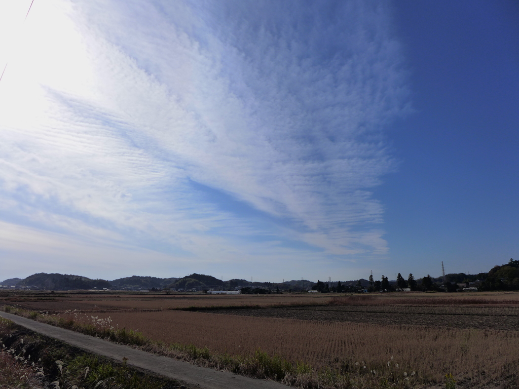 冬の西空