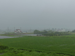 大雨警報
