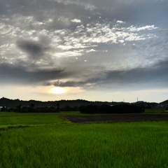 夕景