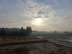朝景　1