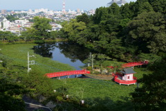 茂原公園