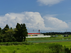 夏雲