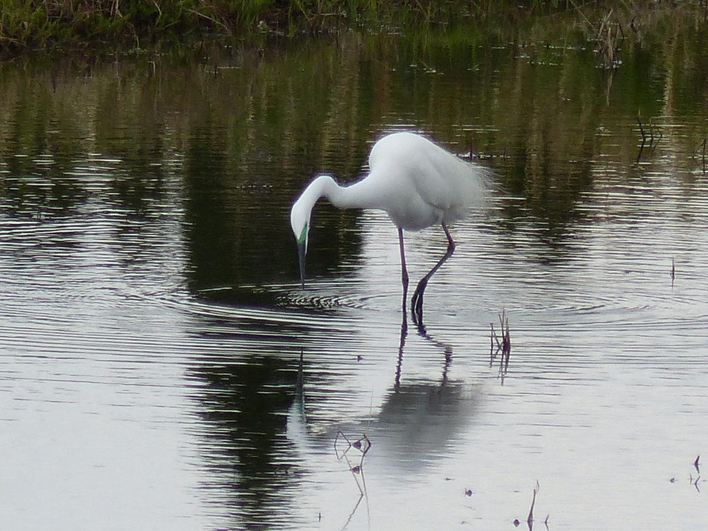 ゆったりとした時間