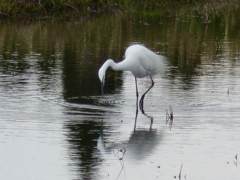 ゆったりとした時間