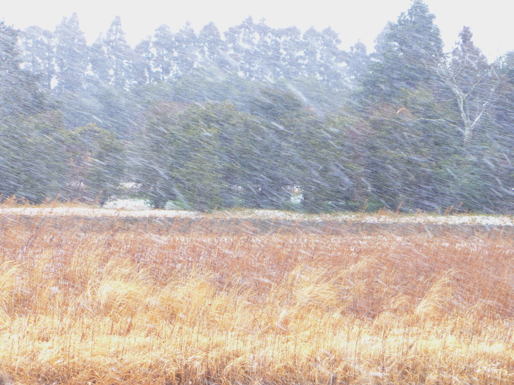 吹雪模様