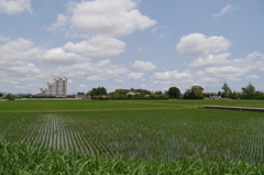 田園風景