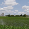 田園風景