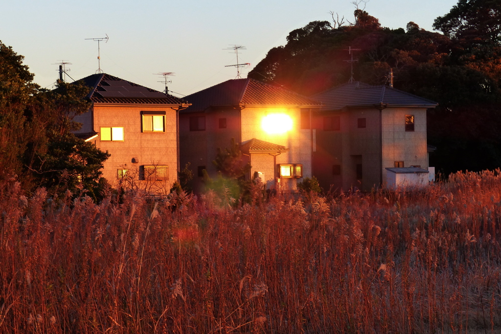 夕照