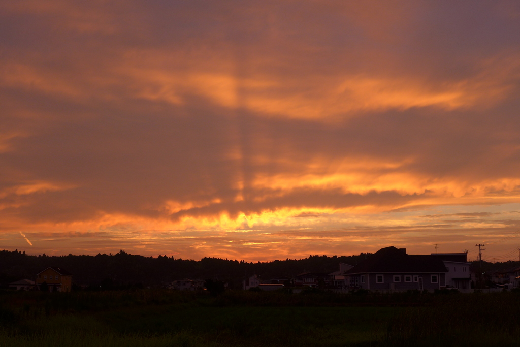 夕焼け　1
