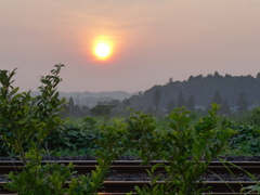 夕陽　2