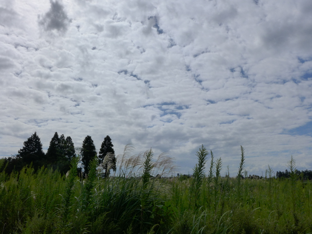 秋っぽい雲