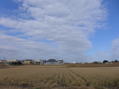 枯れ色の田園