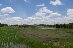 田園風景