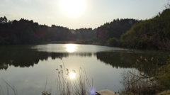 丘陵地の池　1