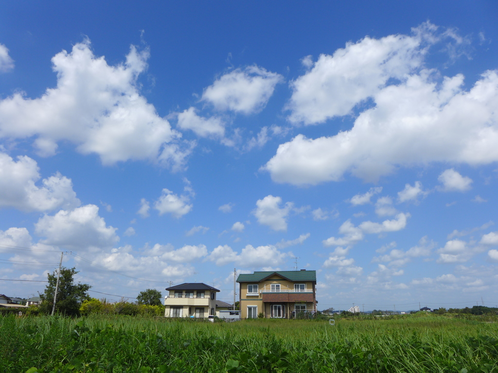 秋雲