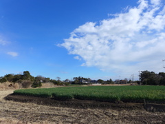 田園と雲　2