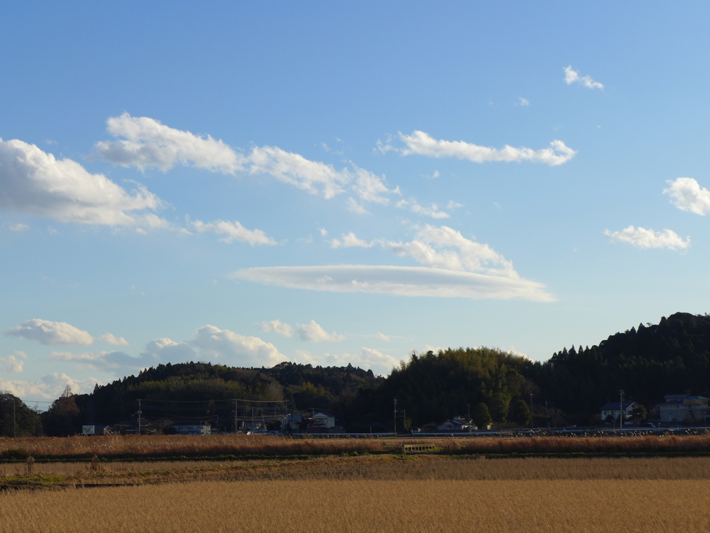 穏かな午後の田園