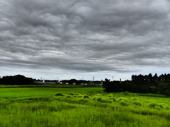 切れない雲