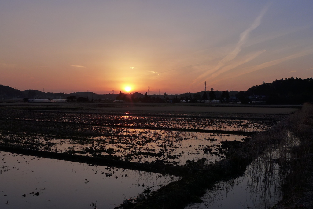 夕景