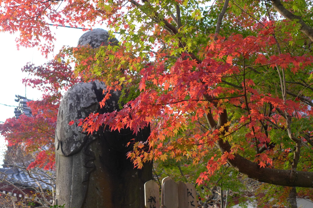 立像と紅葉