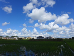 １０月の夏雲