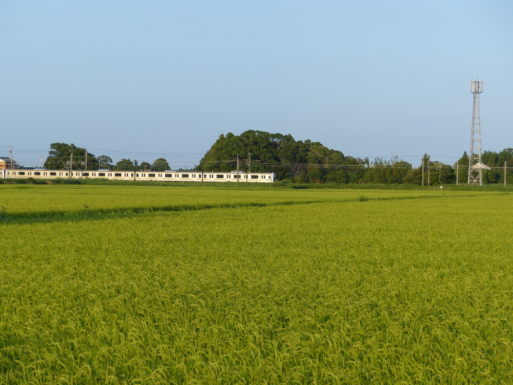 田園と外房線