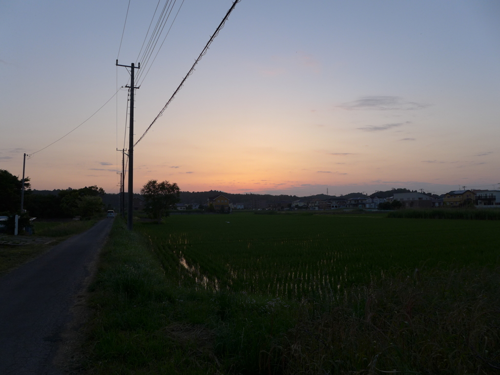 夕景③