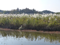 勢ぞろい