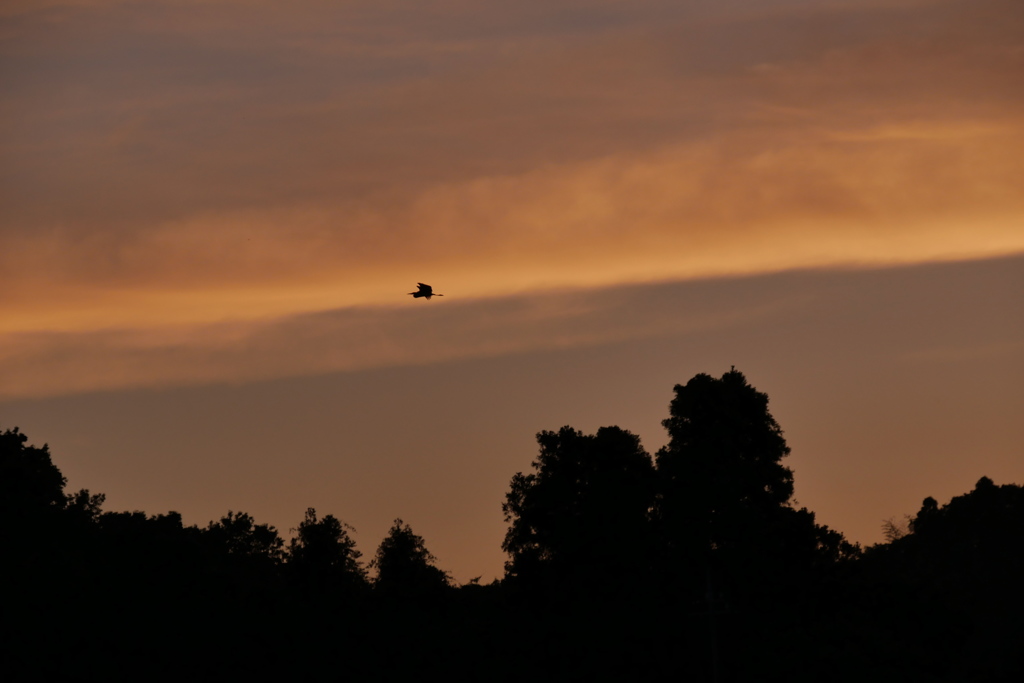 夕景
