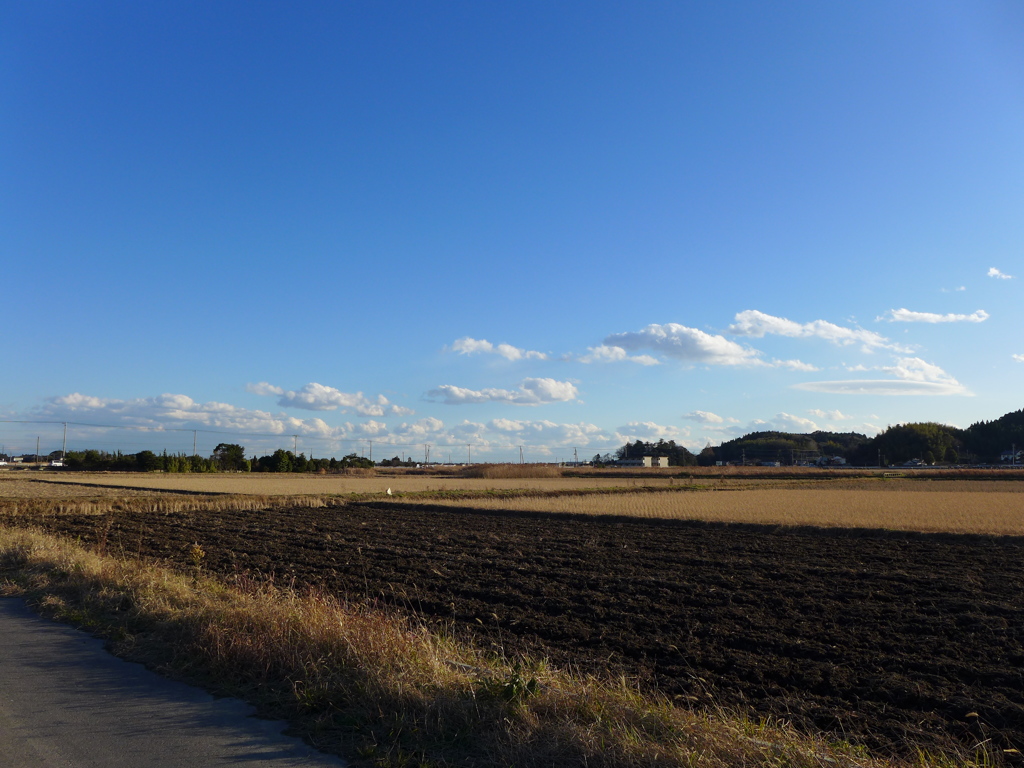 田園風景　1