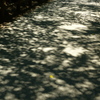 木陰道　1