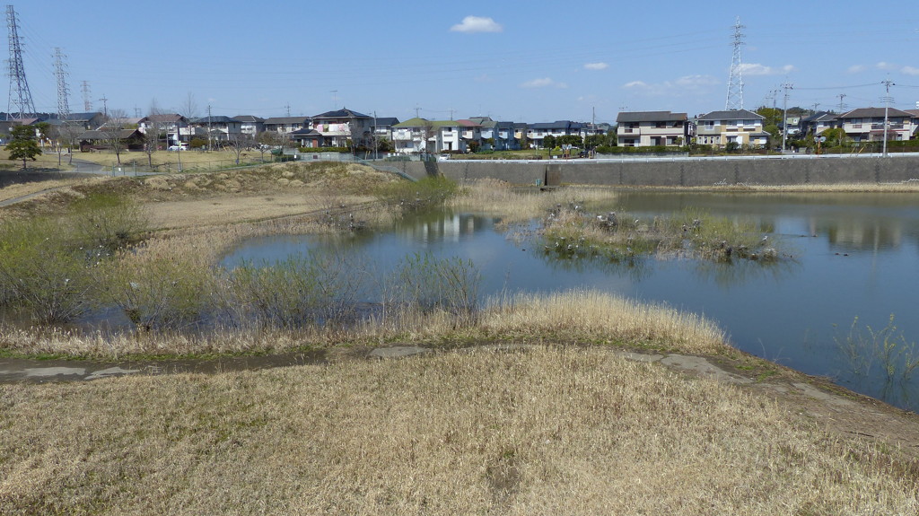 コロニーの近況　全体