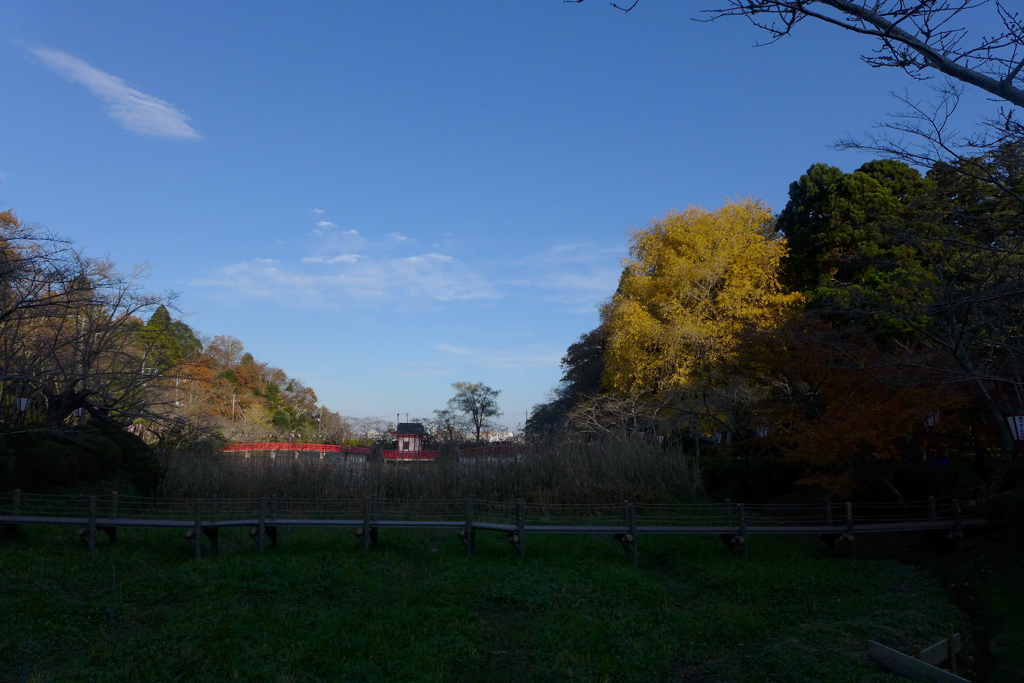 夕暮れの公園
