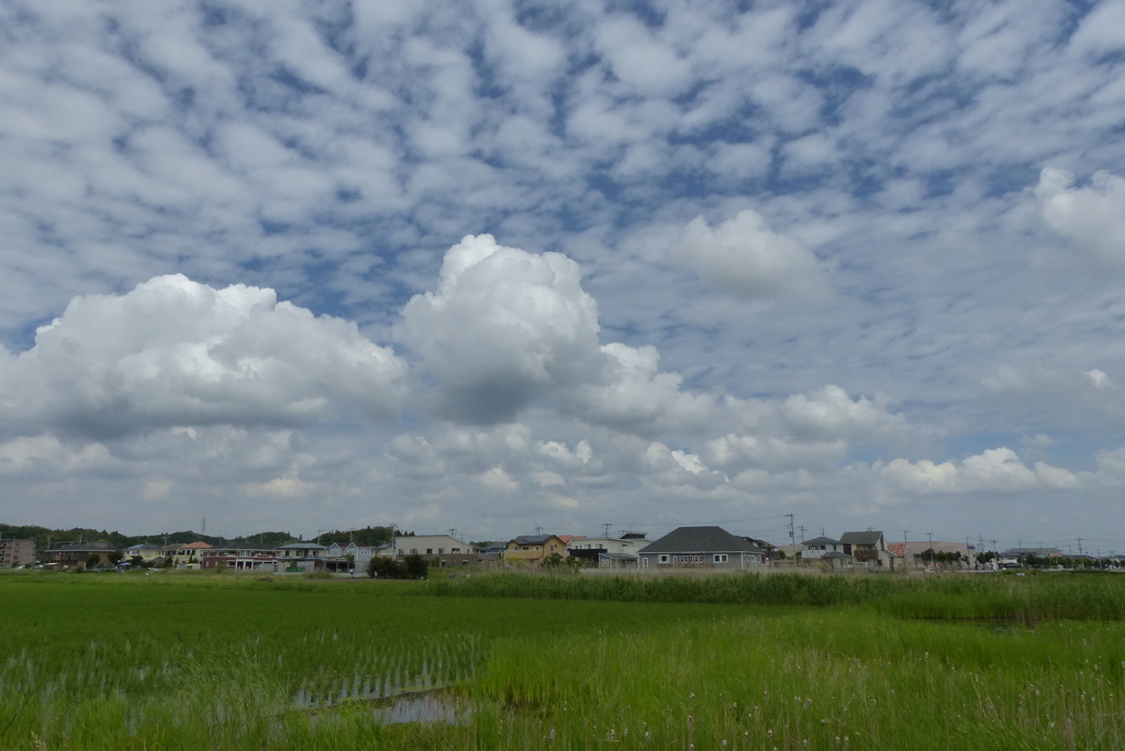 雲の素敵な風景