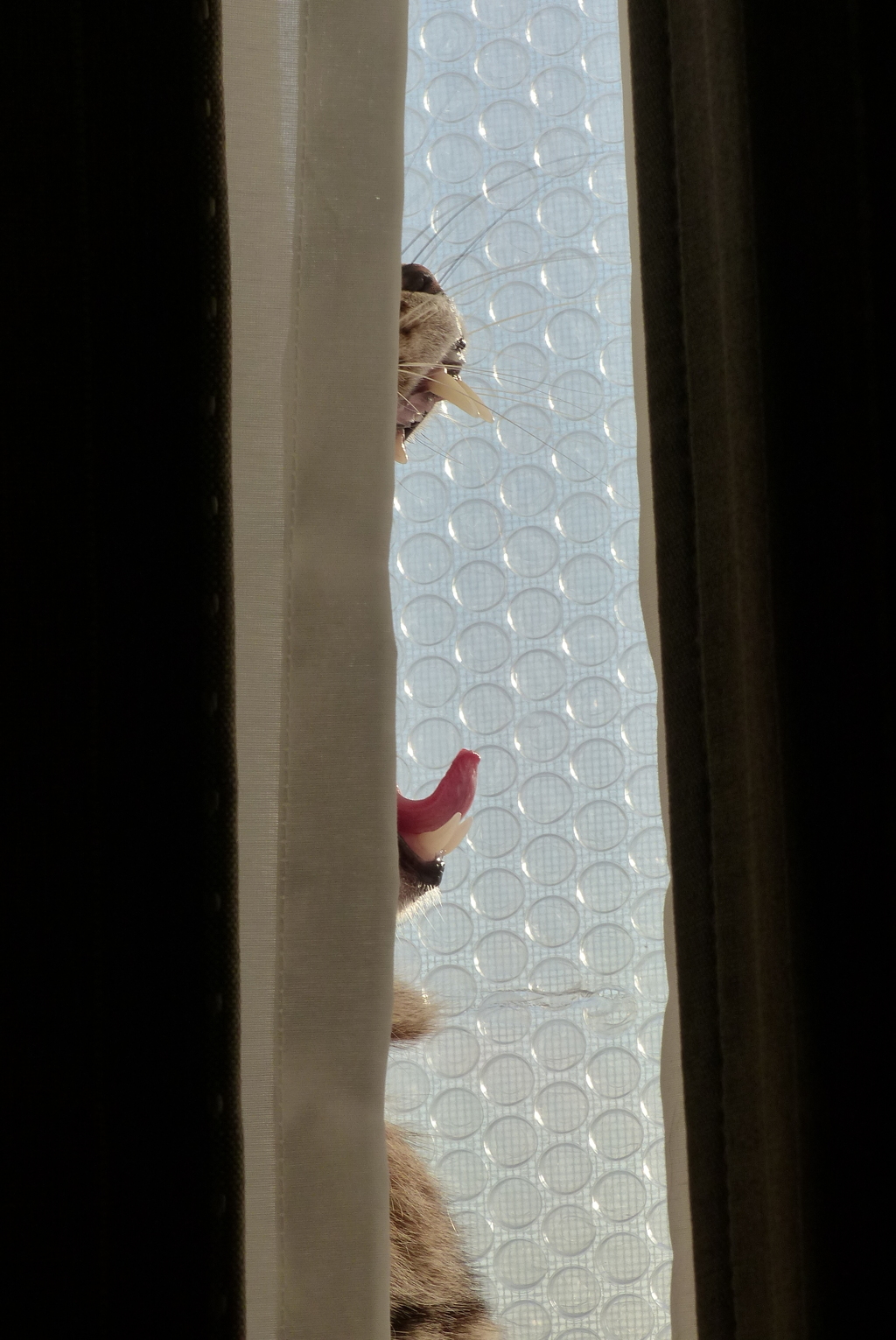 ふあ～