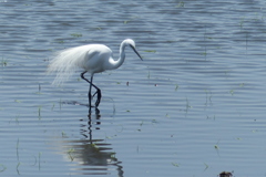 さざ波と一緒に