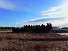 朝景　2