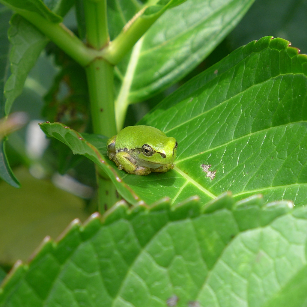 昨年はお世話になりました