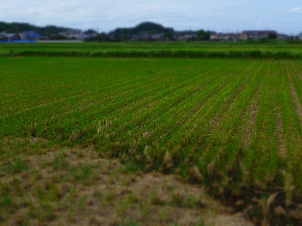 ジオラマ　作例１