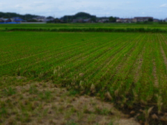 ジオラマ　作例１