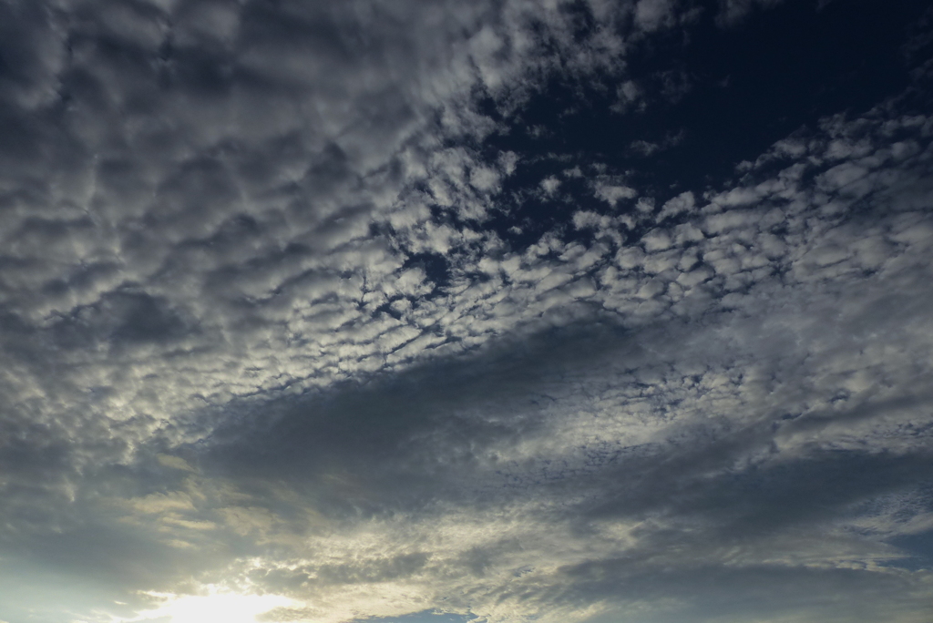 朝雲