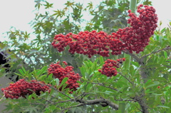 造形美