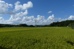 田園風景