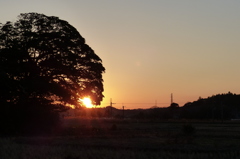夕焼け