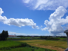 すっきりとした入道雲